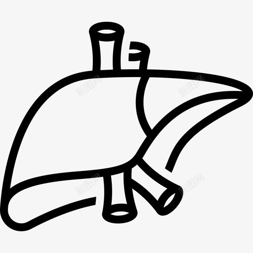 肝脏解剖学健康图标svg_新图网 https://ixintu.com 健康 外科 组织 肝脏 解剖学