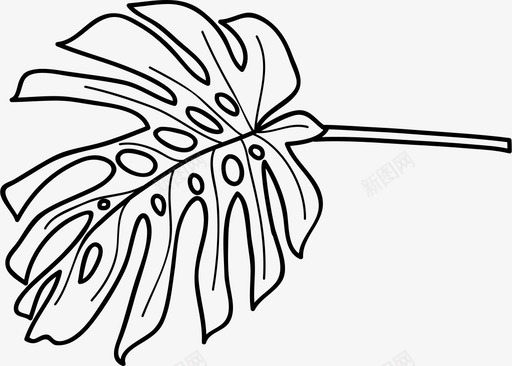凤尾蕨带茎叶生态系统生态学森林植物图标svg_新图网 https://ixintu.com 凤尾蕨带茎叶 怪兽叶 森林植物 热带园林 生态系统生态学 美味植物