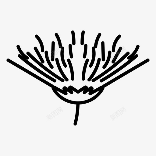 金盏草花自然图标svg_新图网 https://ixintu.com 春天 自然 金盏草