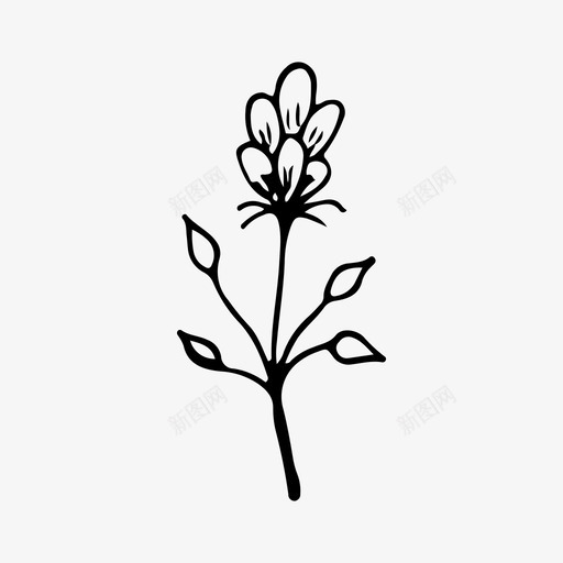 花叶自然图标svg_新图网 https://ixintu.com 植物 自然