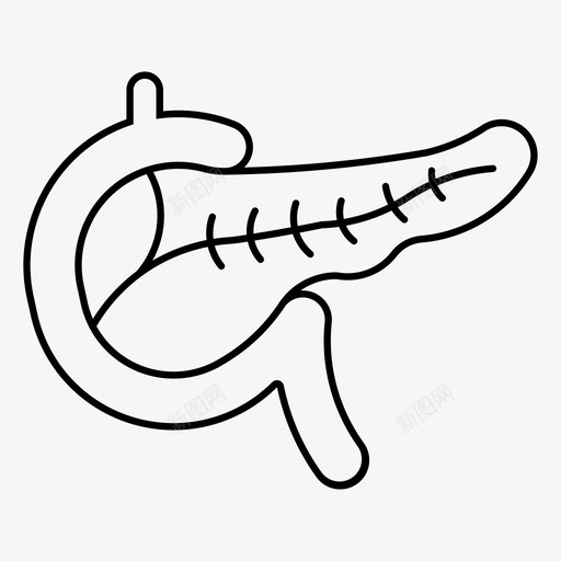 胰腺解剖学身体图标svg_新图网 https://ixintu.com 人体器官 健康 器官 胰腺 解剖学 身体