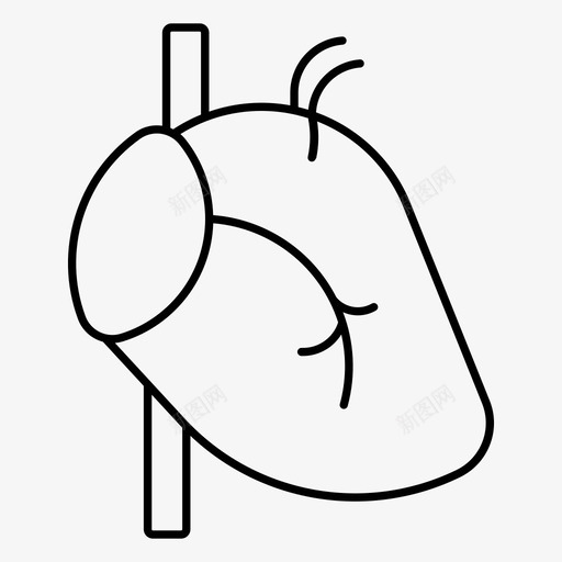 静脉解剖动脉图标svg_新图网 https://ixintu.com 人体 健康 动脉 心脏 解剖 部分 静脉