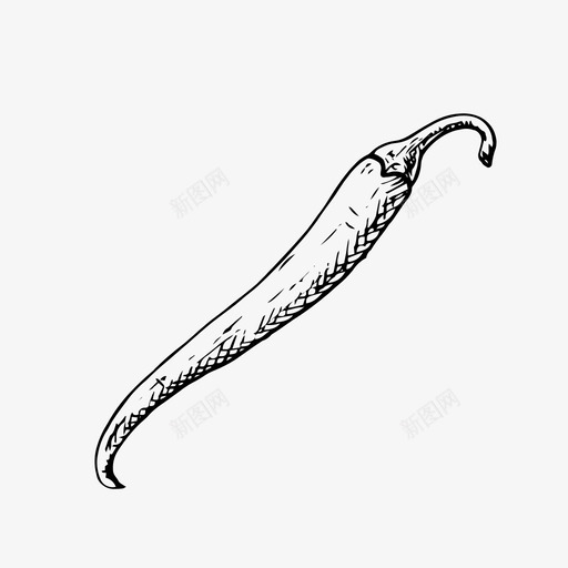 辣椒食物素描图标svg_新图网 https://ixintu.com 手绘 素描 蔬菜 辣椒 食物