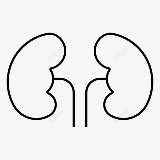 肾脏解剖学身体图标svg_新图网 https://ixintu.com 人体 健康 器官 肾脏 解剖学 身体