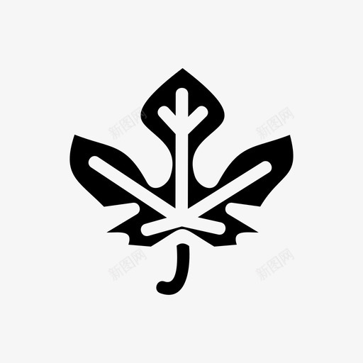 枫树秋天加拿大图标svg_新图网 https://ixintu.com 加拿大 枫树 秋天