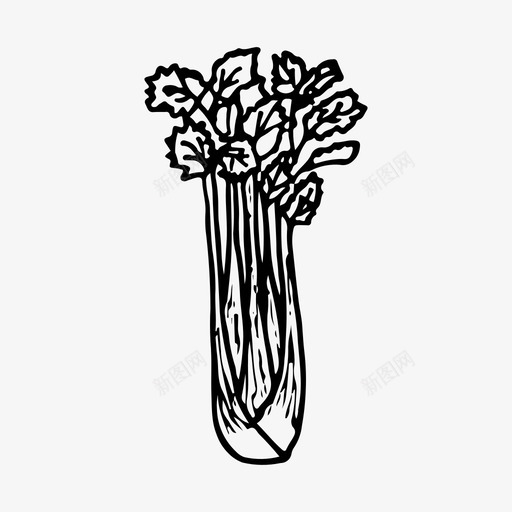 芹菜食物植物图标svg_新图网 https://ixintu.com 手绘 植物 素描 芹菜 蔬菜 食物