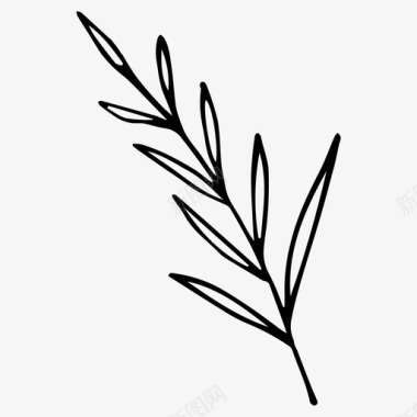 植物树枝手绘图标图标