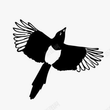 喜鹊小鸟飞翔图标图标