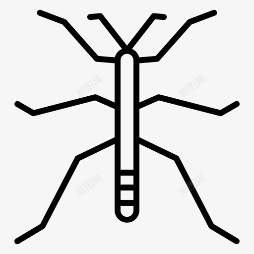 步行蜱昆虫31线状图标svg_新图网 https://ixintu.com 昆虫 步行 线状