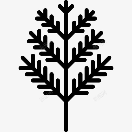 Dillfruitsandvegetables39lineal图标svg_新图网 https://ixintu.com Dill.fruits and lineal vegetables