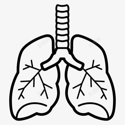 肾人器官图标svg_新图网 https://ixintu.com 医疗 器官 图标 线图