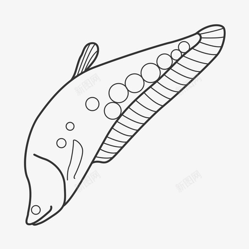 七星刀鱼svg_新图网 https://ixintu.com 七星刀鱼 线性 手绘