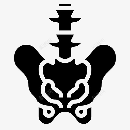 骨盆人体解剖学3填充物图标svg_新图网 https://ixintu.com 人体 填充 解剖学 骨盆