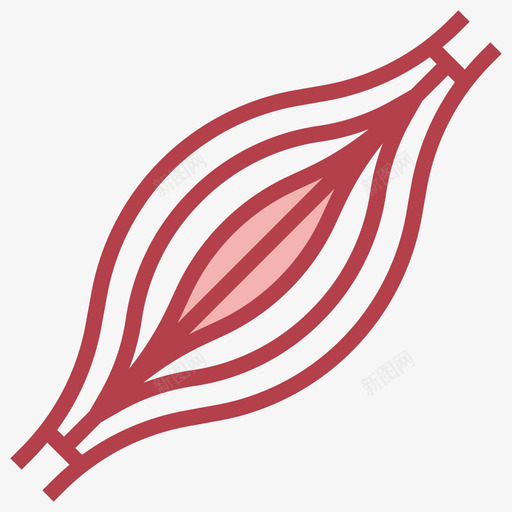 肌肉人体解剖学2其他图标svg_新图网 https://ixintu.com 人体解剖学2 其他 肌肉