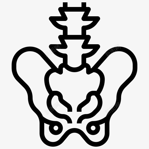 骨盆人体解剖学1线性图标svg_新图网 https://ixintu.com 人体解剖学1 线性 骨盆