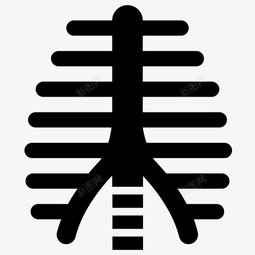 胸腔肋骨骨骼图标svg_新图网 https://ixintu.com 人体器官铭文 肋骨 胸腔 胸部 胸骨 脊柱 骨骼