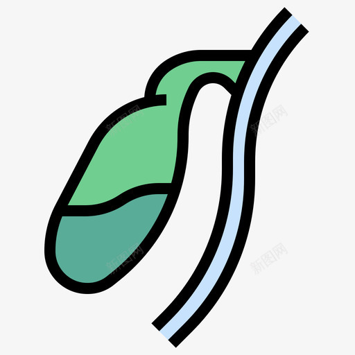 胆囊人体解剖学5线色图标svg_新图网 https://ixintu.com 人体解剖学5 线色 胆囊