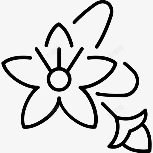 半人马科生物学植物学图标svg_新图网 https://ixintu.com 半人马科 植物学 生物学 草药