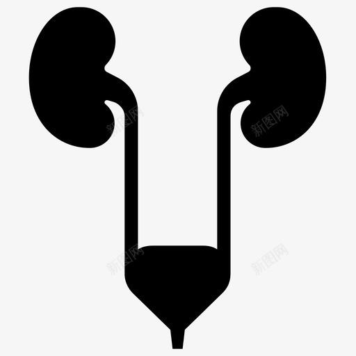 泌尿系统解剖学膀胱图标svg_新图网 https://ixintu.com 人体器官 人体器官铭文 泌尿系统 肾脏 膀胱 解剖学