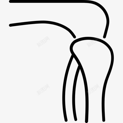 肌腱解剖学骨头图标svg_新图网 https://ixintu.com 肌肉 肌腱 药物 解剖学 骨头