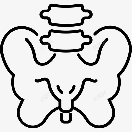 骨盆骨解剖学生物学图标svg_新图网 https://ixintu.com 生物学 解剖学 骨盆骨 骨骼
