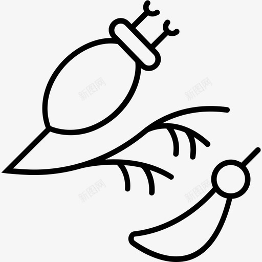 玫瑰果生物学种子图标svg_新图网 https://ixintu.com 玫瑰 生物学 种子 谷物