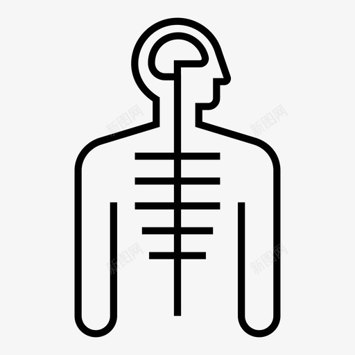 中枢神经系统大脑人体解剖学图标svg_新图网 https://ixintu.com 中枢 人体 图标 大脑 神经 神经系统 线图 脊髓 解剖 解剖学