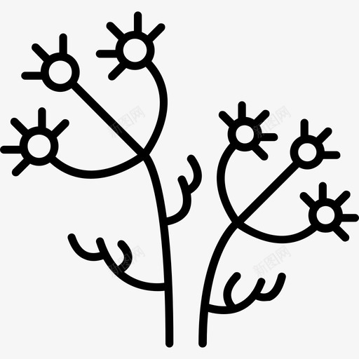 香菜园艺草药图标svg_新图网 https://ixintu.com 园艺 植物 草药 调味料 香菜