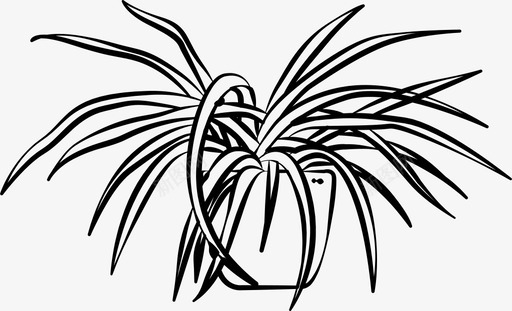 蜘蛛植物房子室内植物图标svg_新图网 https://ixintu.com 室内 室内植物 房子 植物盆栽 蜘蛛植物
