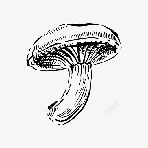 香菇秋天食物图标svg_新图网 https://ixintu.com 秋天 蔬菜 蘑菇 食物 香菇