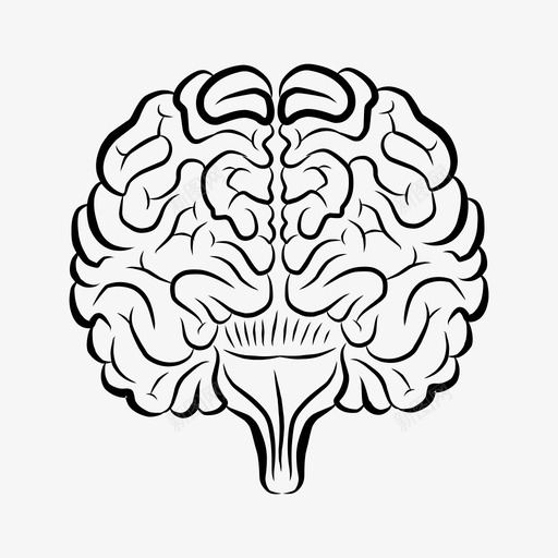 大脑解剖学身体图标svg_新图网 https://ixintu.com 人体 内部 医学 大脑 解剖学 身体