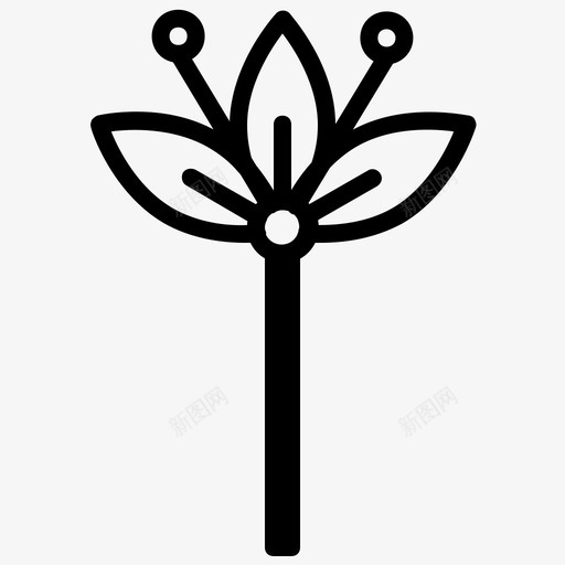 花洋甘菊装饰性图标svg_新图网 https://ixintu.com 兰花 抽象 春天 甘菊 花卉 荷兰 装饰性