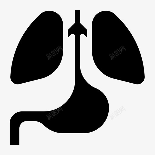 解剖学身体健康图标svg_新图网 https://ixintu.com 健康人 固体 对象 研究 解剖学 身体 身体健康