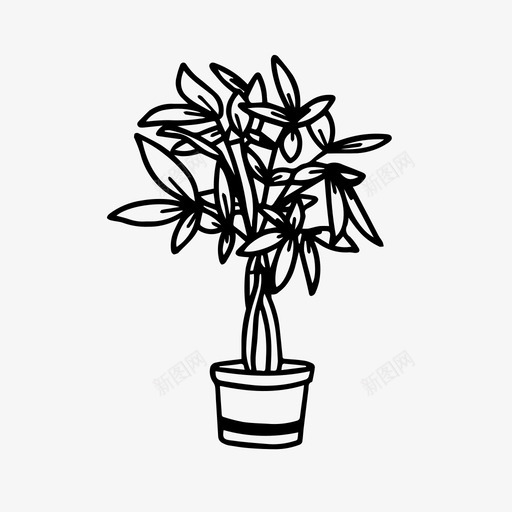 中国钱花室内植物叶子图标svg_新图网 https://ixintu.com 中国 叶子 室内 收集 植物 钱树 钱花