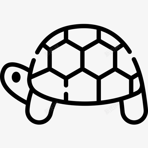 海龟动物55直系图标svg_新图网 https://ixintu.com 动物 海龟 直系