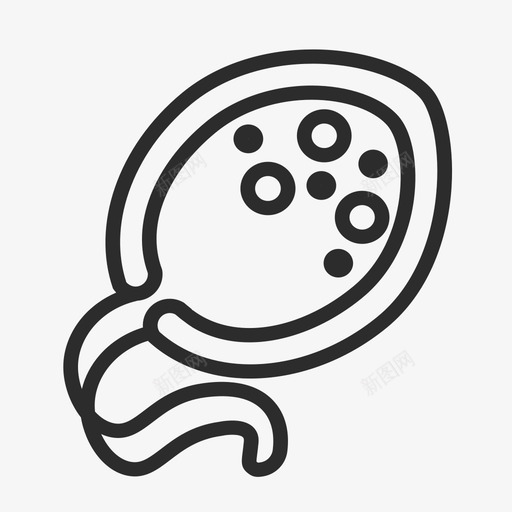 病害-鞭毛菌亚门svg_新图网 https://ixintu.com 病害-鞭毛菌亚门