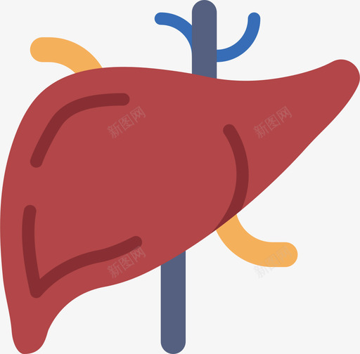 肝脏医用188扁平图标svg_新图网 https://ixintu.com 医用 扁平 肝脏