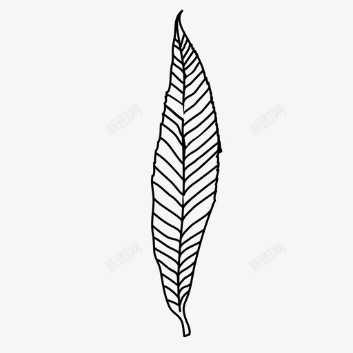 柳叶植物叶图标svg_新图网 https://ixintu.com 手绘 柳叶 植物 自然