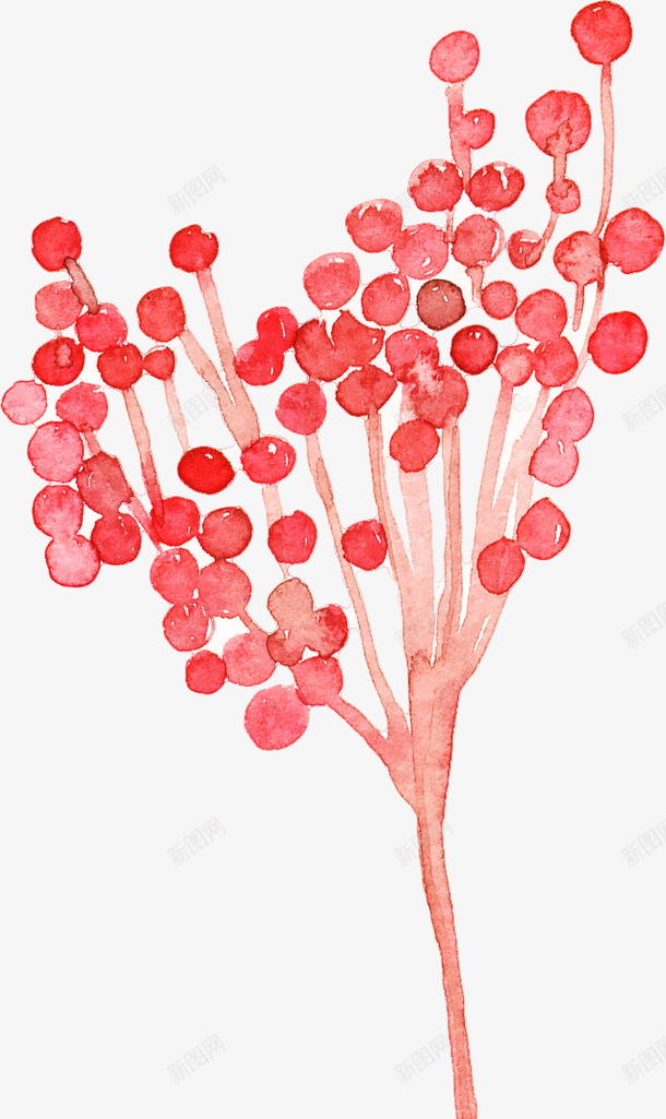 手绘花朵抽象花蕊png免抠素材_新图网 https://ixintu.com 手绘花朵 抽象花蕊