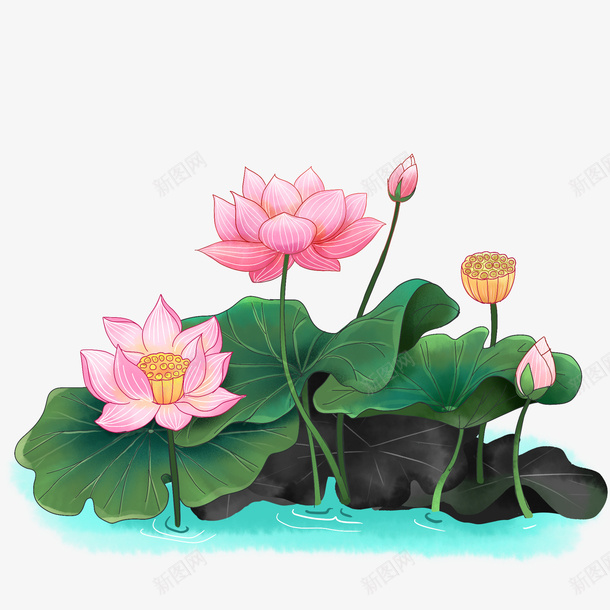手绘水墨荷花荷叶png免抠素材_新图网 https://ixintu.com 手绘荷花 水墨荷花荷叶 池塘 荷花荷叶满池塘 荷叶 荷花 高清手绘