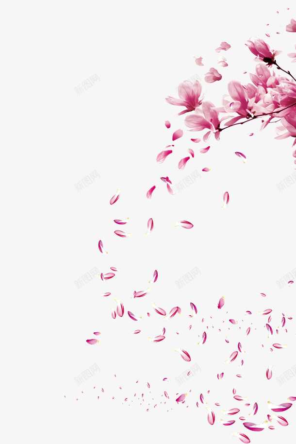 古风飘落花瓣8png免抠素材_新图网 https://ixintu.com PNG 花瓣 装饰 飘落