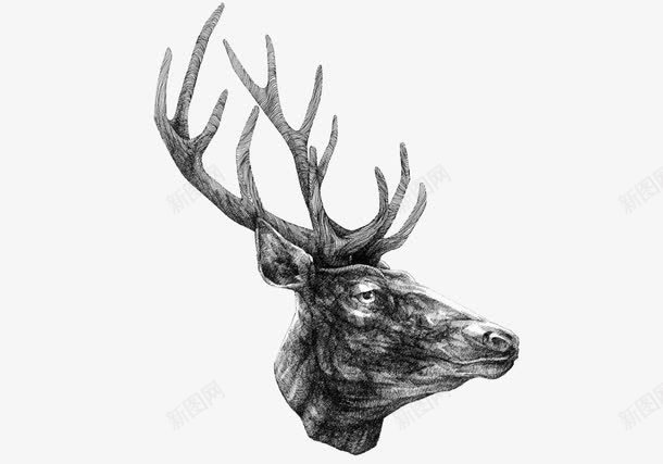 简约黑白羚羊插画png免抠素材_新图网 https://ixintu.com 插画 简约 羚羊 黑白