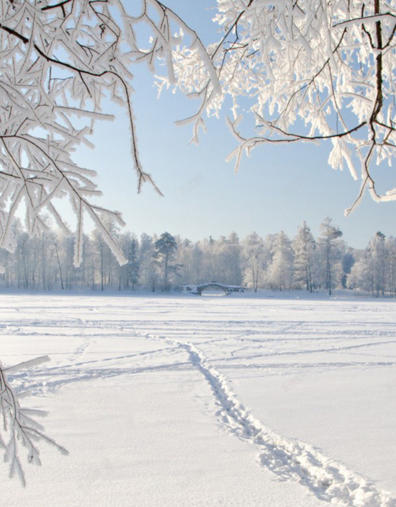 白色雪地简约H5背景素材jpg设计背景_新图网 https://ixintu.com 白色 简约 雪地 树木 冰冻 H5 摄影 风景