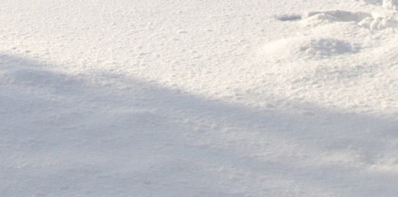 白色雪地简约H5背景素材jpg设计背景_新图网 https://ixintu.com 白色 简约 雪地 树木 冰冻 H5 摄影 风景