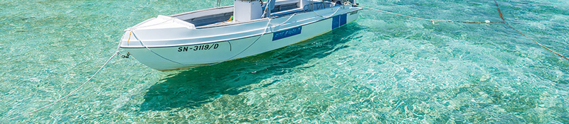 浅蓝色清新三亚旅行蓝天椰树背景jpg设计背景_新图网 https://ixintu.com 三亚 天空 旅行 椰树 浅蓝色 清新 蓝天 蓝天背景 飞机 飞机跑道