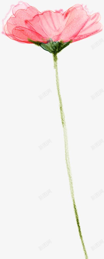 粉色花卉水彩画风景png免抠素材_新图网 https://ixintu.com 图片 水彩画 粉色 花卉 风景