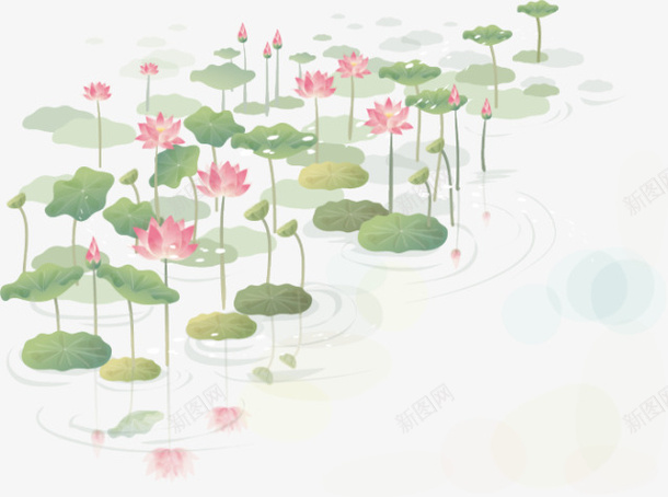 荷花1png免抠素材_新图网 https://ixintu.com 免 扣 花 荷