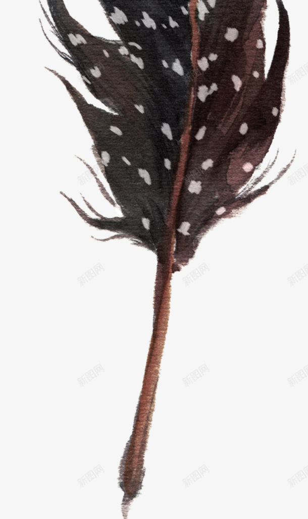 手绘水彩花环花卉羽毛1png免抠素材_新图网 https://ixintu.com 1 手绘 水彩花环 羽毛 花卉
