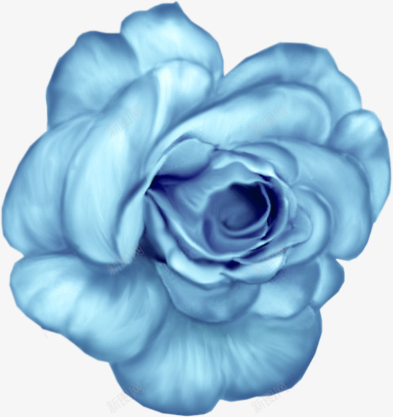 卡通手绘蓝色玫瑰花png免抠素材_新图网 https://ixintu.com 卡通 卡通蓝色 情人节装饰 蓝色玫瑰花