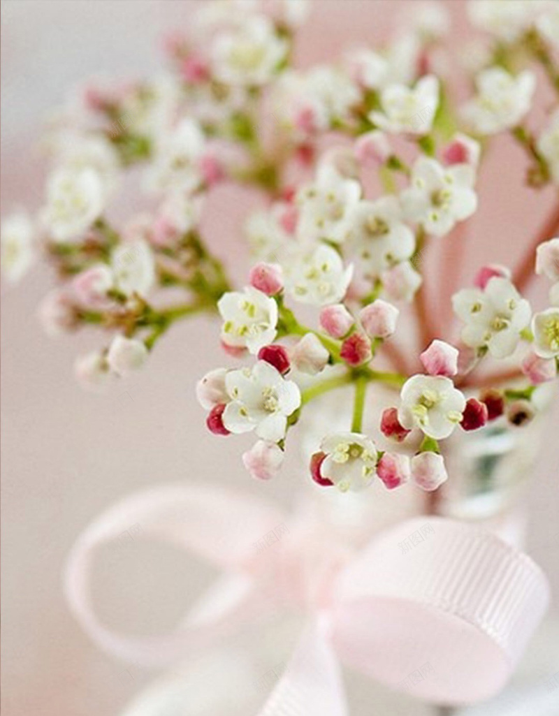 花朵背景jpg设计背景_新图网 https://ixintu.com h5背景 唯美 小清新 文艺 简约 粉红色 花 花卉 花朵 花边 边框